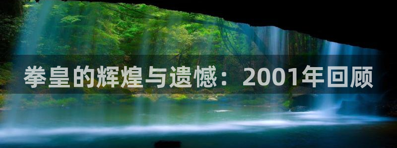 香蕉漫画免费版：拳皇的辉煌与遗憾：2001年回顾