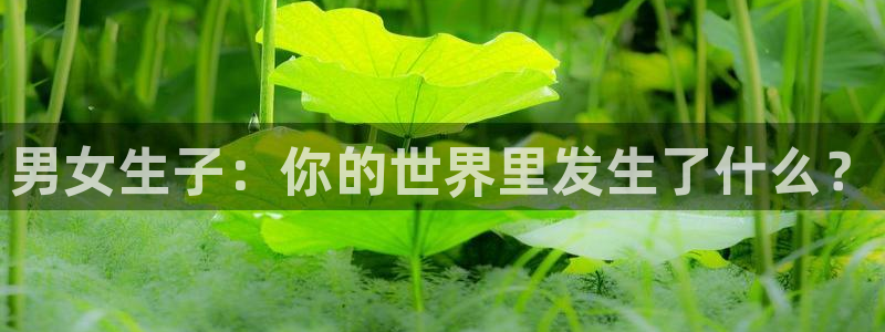 香蕉漫画秘密教学：男女生子：你的世界里发生了什么？