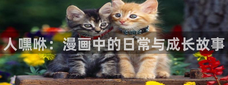 91香蕉漫画免费破解版：人嘿咻：漫画中的日常与成长故事