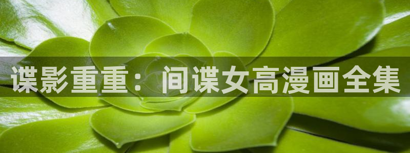 香蕉漫画免费读漫画：谍影重重：间谍女高漫画全集